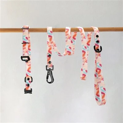 PVC Dog Collar And Leash
